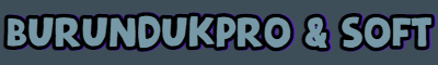 BurundukPro Logo